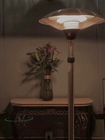 两位霸道总裁同时爱上我
