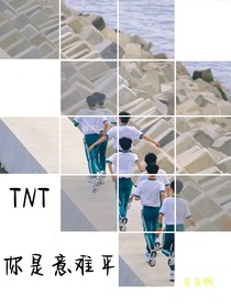 TNT：你是意难平