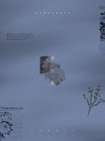 LS永生花