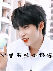 哪里来的小野猫