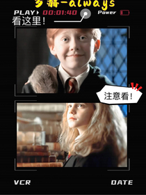 罗赫日常——always