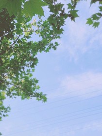 葉老師，請(qǐng)多多指教