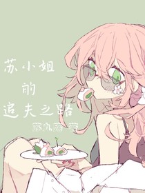 苏小姐的追夫之路