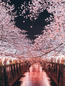 梦回九分