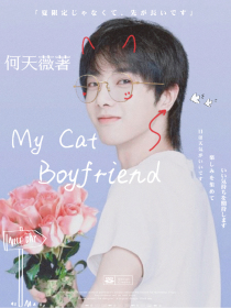 华晨宇—我的猫系男友