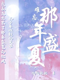 难忘那年盛夏