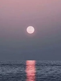毀滅：自然篇