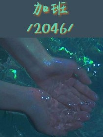 加班2046