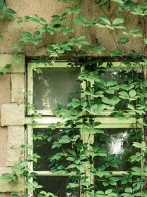 流水无情花有意