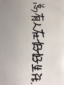 沼泽之爱