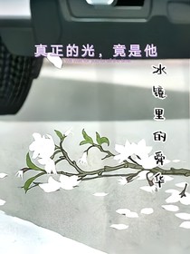 冰镜里的舜华-d370