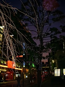 蔡徐坤：心理战