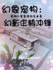 幻象宠物：幻影企鹅冲锋
