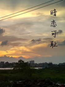 暗恋可耻