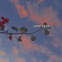 三月笙夏，七月星倦