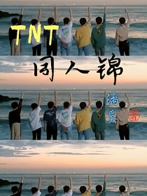 TNT：同人锦