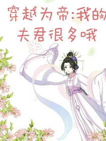 穿越为帝：我的夫君很多哦
