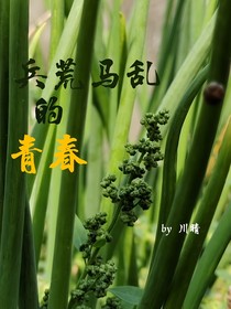 致兵荒馬亂的青春