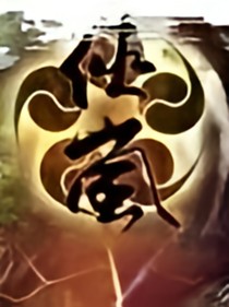 侠岚之影