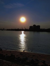 沈医生