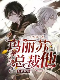 玛丽苏总裁他自我攻略