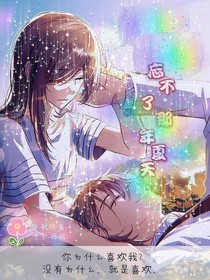 忘不了那年夏天