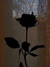 春與秋