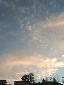 韩娱：请让我独自美丽