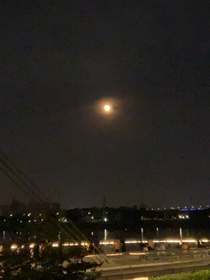 我和邹的日常（爸爸的手机版）