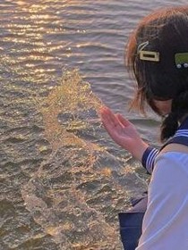 TF三代：她回来了……？