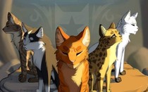 猫武士外传之羽星的预言
