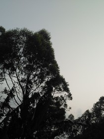 盛夏晚戀-d574