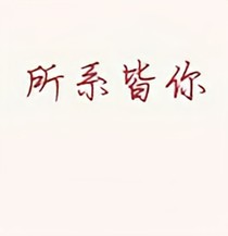 所系皆你