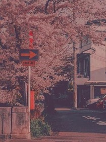 我的青春：不完美