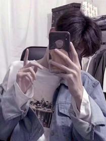 顾辰夜的恋爱手册