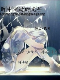眸中消逝的光芒