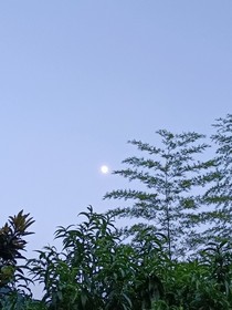 小说杂烩