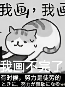 你好，ccino