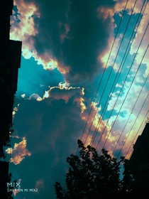 他是个小骗子-d869