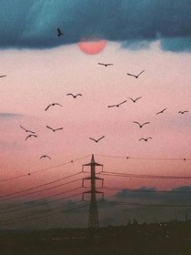 年少歡喜，年少綺夢