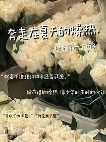 奔走在夏天的燥熱