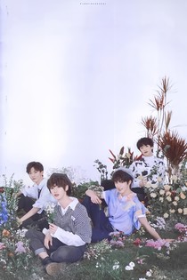 TNT：重生之我不是替身