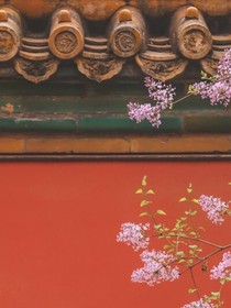 宫残梦