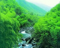 神圣使命第二季第一册山间旅行