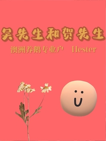 吳先生和賀先生