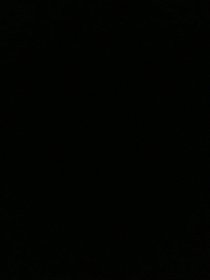 我的世界：絕地逢生