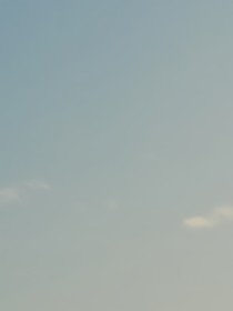 長生樹，夢