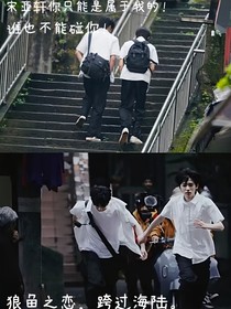 蓝桉树与释怀鸟