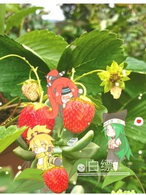 凹凸之寒的决心-d400