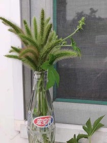 摩羯男与金牛女的争吵日常